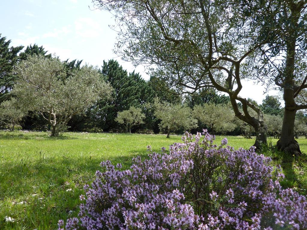 Les Mazets Du Luberon Acomodação com café da manhã Puget Exterior foto